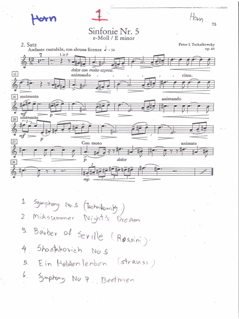 French Horn Excerpts PDF