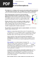 Principles of Gel Electrophoresis