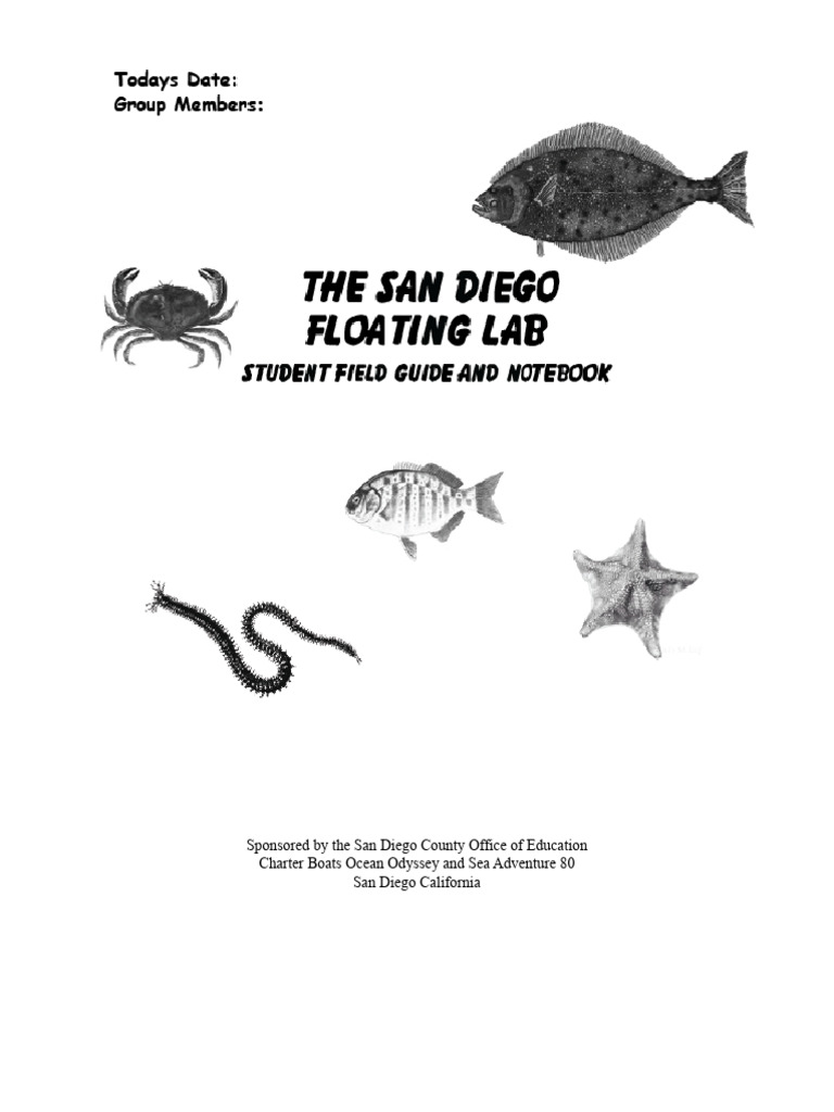 San Diego Floating Lab V | PDF | Home & Garden | Wellness