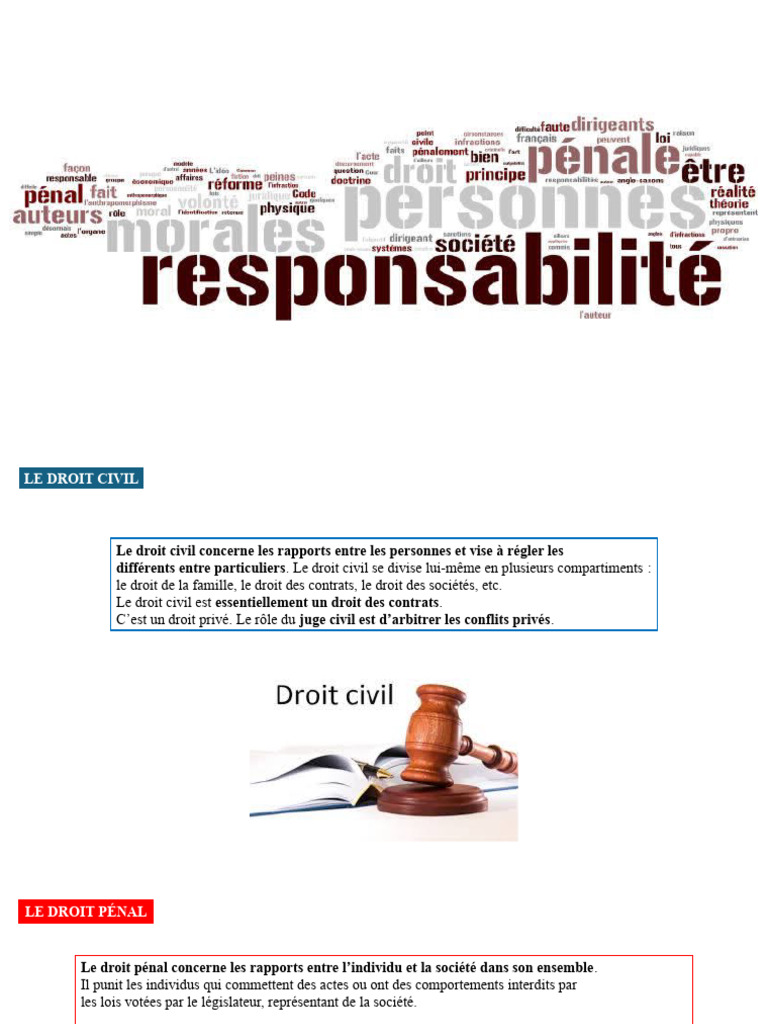 Responsabilité pénale des techniciens | PDF | Loi criminelle | Justice