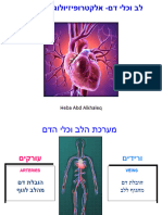 פיזיולוגיה - מערכת קרדיווסקולרית 1 - 12087