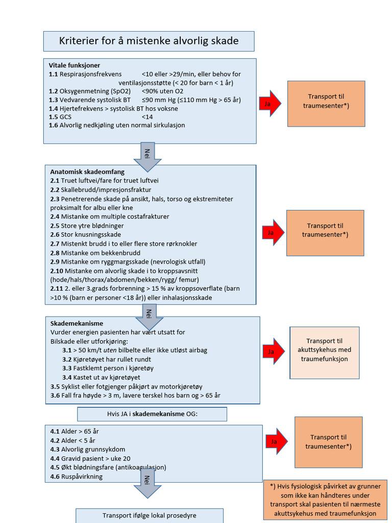 Figur 1 Identifisering Av Alvorlig Skade V3 | PDF