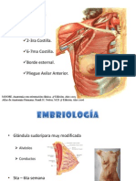 Anatomía de Mama