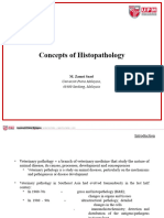 Concept Histopathology