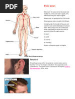 9 Key Pulse Points for Assessment | PDF | Pulse | Circulatory System