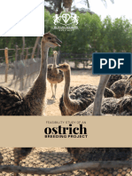 Ostrich: Breeding Project