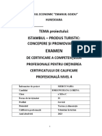 Atestat Iorgoni Diana Lorena