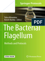 The Bacterial Flagellum