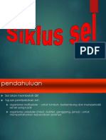 Siklus Sel 23