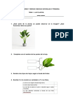 Actividades de Repaso