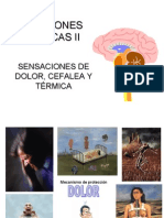 Clase6-Sensaciones Somaticas II Cefalea Dolor