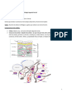 Resumen de Biologia Segundo Parcial Radiologia