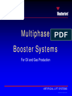 Multi-Phase Booster Pump