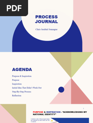 Process Journal by Chris