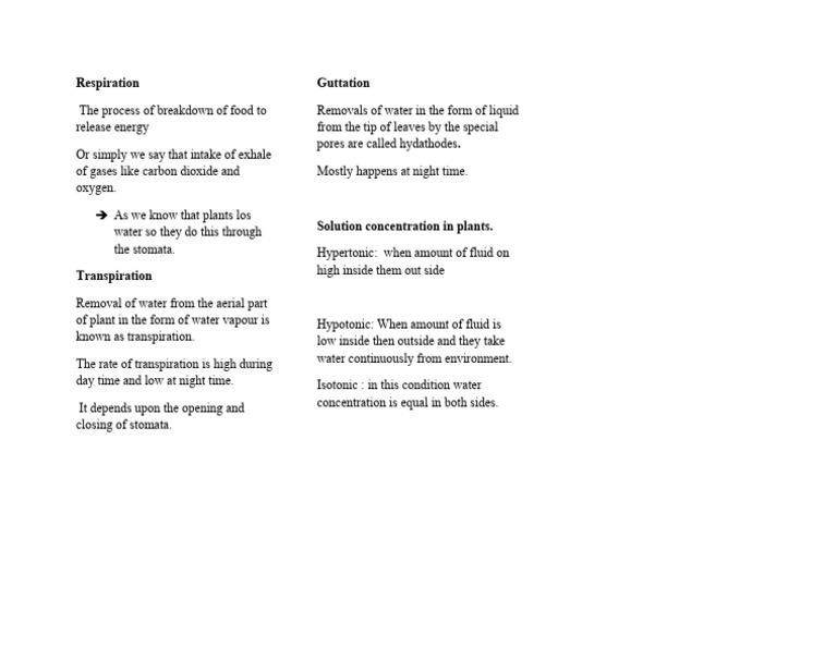 Plant Respiration and Water Processes | PDF | Science & Mathematics