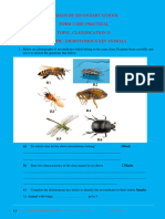 Biology Dry Practical Dichotomous Key Animals