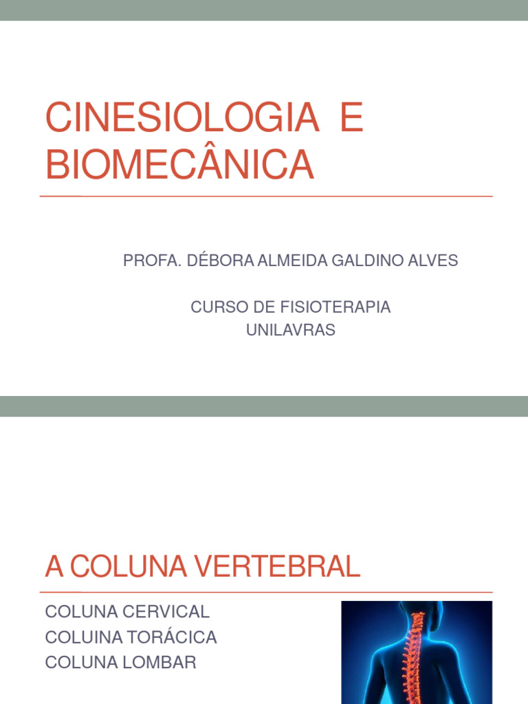 Aula 11 Coluna Vertebral Pdf Coluna Vertebral Sistema Esquelético
