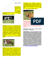 Material de Apoyo Grado 8° Principales Razas de Ganado de Leche en Colombia