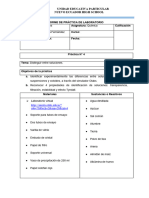 4 Informe Virtual