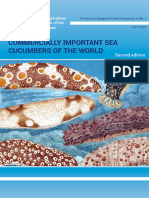 Commercially Important Sea Cucumbers of The World