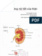 Lec9 (SL) Chức năng nội tiết của thận