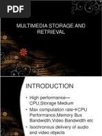 Multimedia Storage and Retrieval