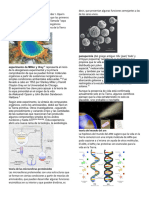 Teoria Del Caldo Primordial