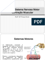 Aula 5 - Sistema Nervoso Motor