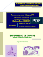 11 - Enf Chagas