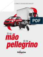 PLL 0079 23 Atualizacao-Portfolio-Pellegrino-20x23cm