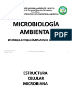 2.1. Estructura Celular Procariota