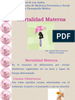 Mortalidad Materna.ppt2 Tema 14