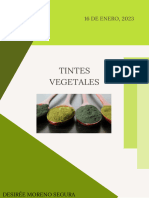 Trabajo Sobre Tintes Vegetales