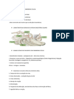 Conduta Semiológica Da Sindrome Colica