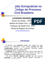 Usu Leonardo-Brandelli PDF