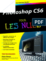 Peter Bauer Photoshop Cs6 Poche Pour Les Nuls 2012 1533065776526