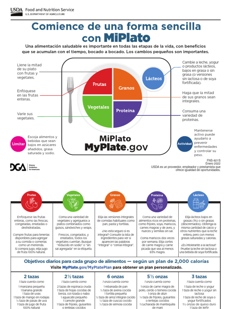 Mini Poster - Mi Plato | PDF | Leche | Alimentos