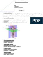 Anatomia e Neuroanatomia