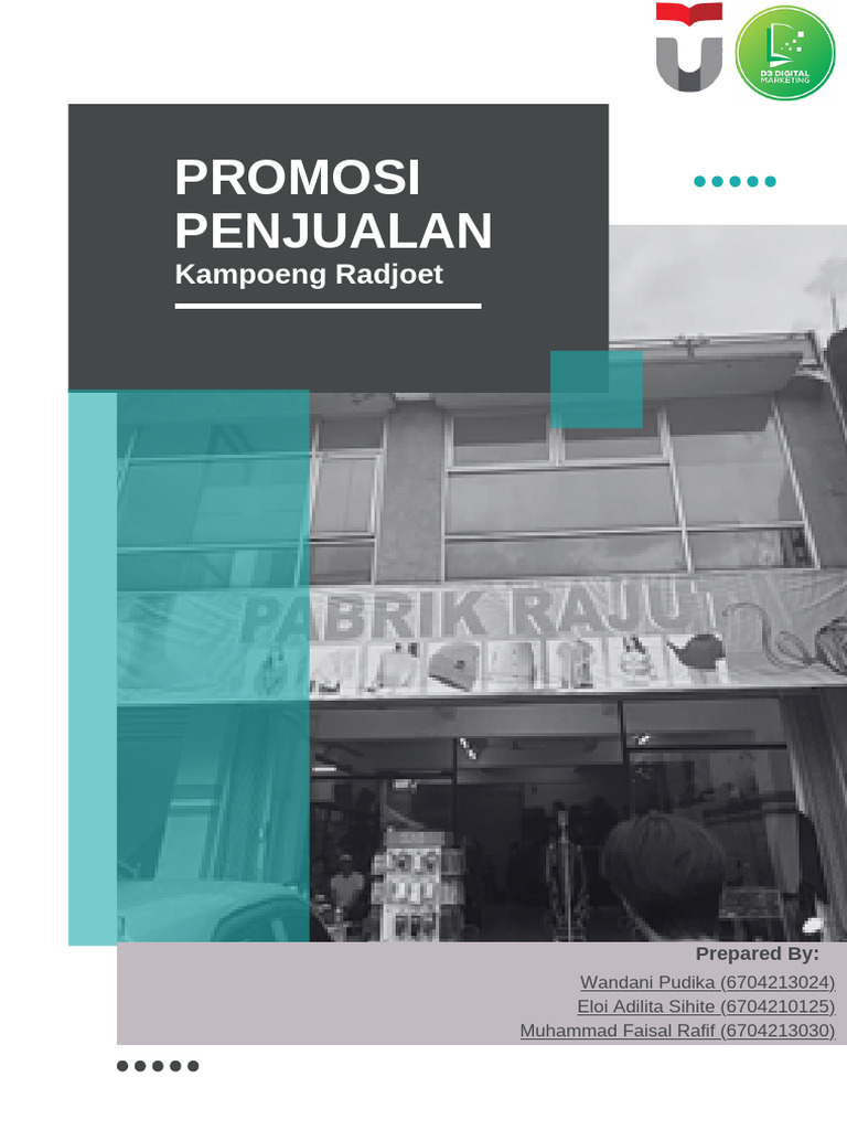 Final Project Advertising | PDF