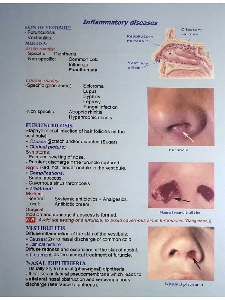 HOW TO STUDY DIFFERENTIAL DIAGNOSIS intelligence overview