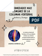 Enfermedades Mas Comunes de La Columna Vertebral