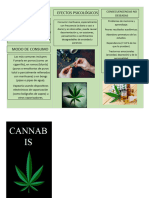 CANNABIS