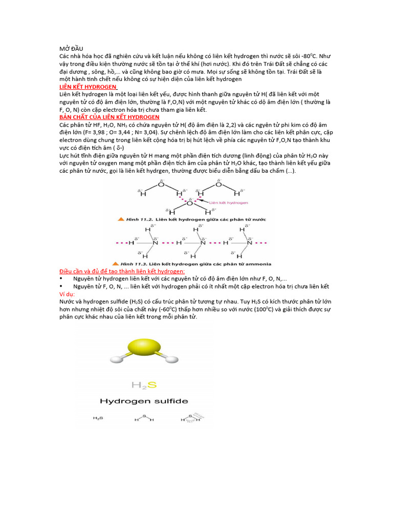 Hóa 10 liên kết hydrogen | PDF