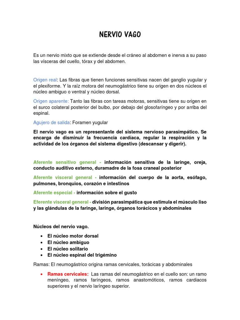 Nervio Vago Pdf