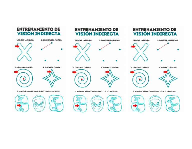 Formato Entrenamiento de Visión Indirecta | PDF