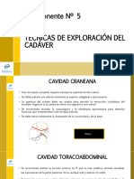 6 Sesión - Comp N5 Técnicas de Exploración Del Cadaver