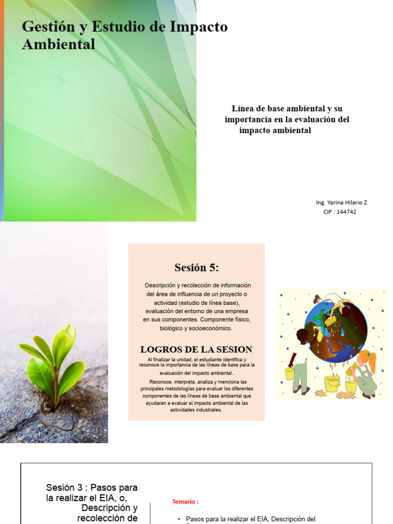 Línea Base Ambiental en EIA | PDF | Entorno natural | Evaluación de ...