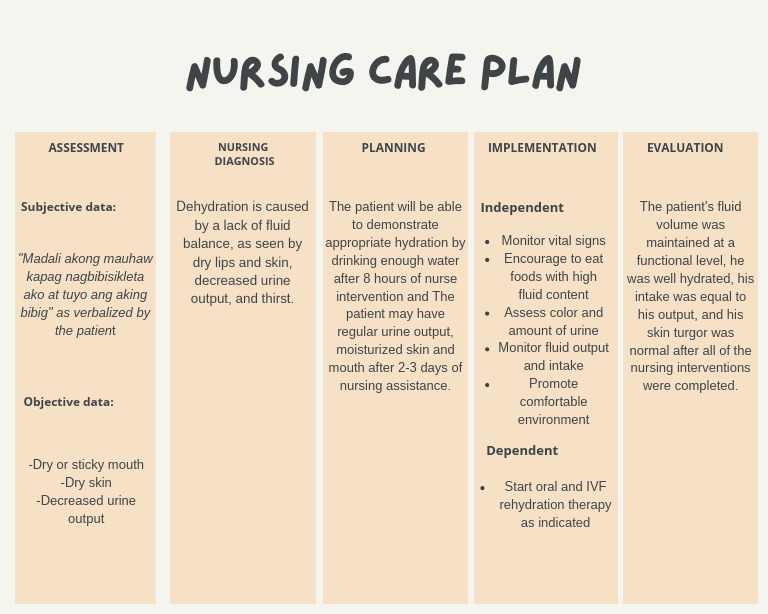 Nursing Care Plan for Dehydration Management | PDF | Self-Improvement