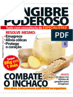 Revista-Gengibre Poderoso