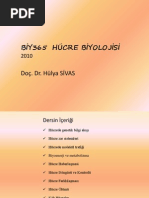 Hücre Bi̇yoloji̇-1